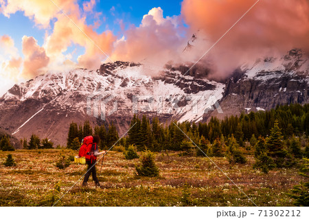 Female Backpacker Hiking in Canadian Rockies Female Backpacker Hiking in Canadian Rockies 71302212
