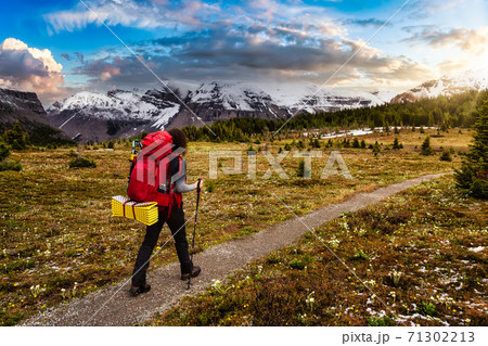 Female Backpacker Hiking in Canadian Rockies 71302213