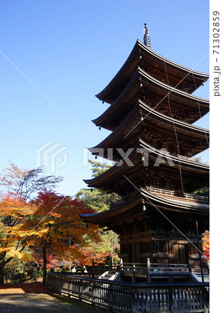 秋の福泉寺は紅葉が素晴らしい　五重塔 71302859