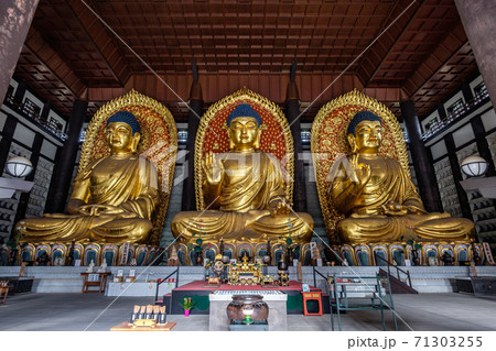 長楽寺の三大佛(但馬大仏・但馬大佛) 長楽寺の三大佛(但馬大仏・但馬大佛) 71303255
