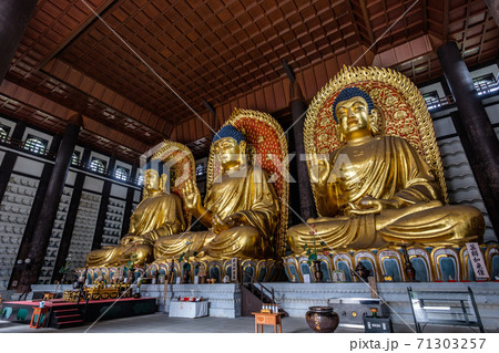 長楽寺の三大佛(但馬大仏・但馬大佛) 長楽寺の三大佛(但馬大仏・但馬大佛) 71303257