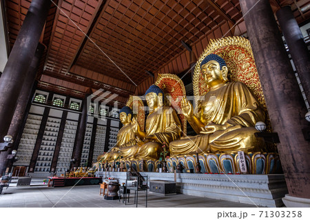長楽寺の三大佛（但馬大仏・但馬大佛） 71303258