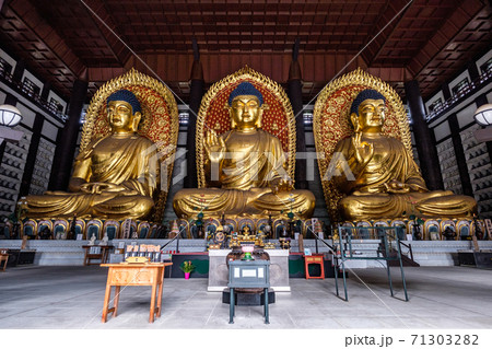 長楽寺の三大佛（但馬大仏・但馬大佛） 71303282