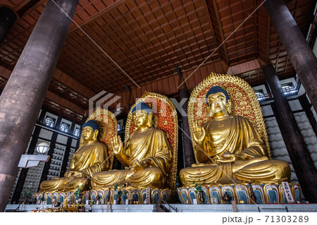 長楽寺の三大佛（但馬大仏・但馬大佛） 71303289