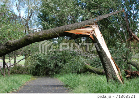 台風被害 台風被害 71303521