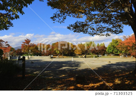 信州の公園の秋の黄葉秋の落ち葉道 信州の公園の秋の黄葉秋の落ち葉道 71303525