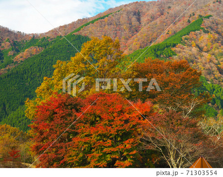 田貫湖の紅葉の写真素材