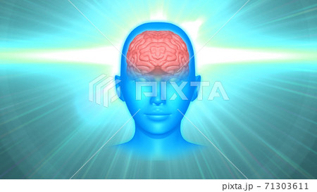 脳/インスピレーション/閃き 脳/インスピレーション/閃き 71303611