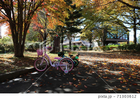 信州の公園の秋の黄葉子供の自転車 信州の公園の秋の黄葉子供の自転車 71303612