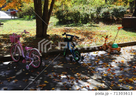 信州の公園の秋の黄葉子供の自転車 信州の公園の秋の黄葉子供の自転車 71303613