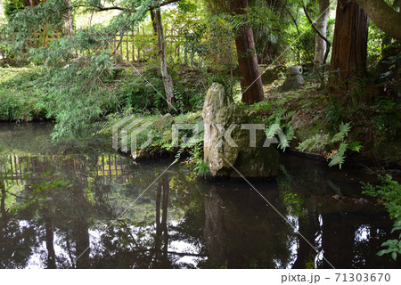板敷山大覚寺へ行きました #31 板敷山大覚寺へ行きました #31 71303670