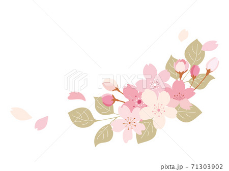 桜 フレーム イラスト のイラスト素材