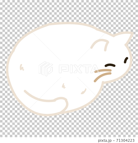 一隻捲曲的白貓 71304223