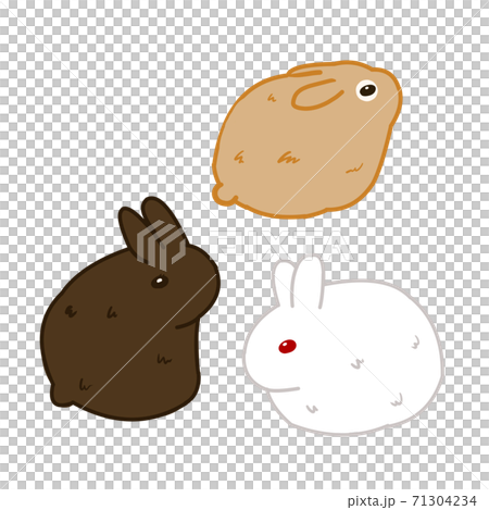 白と黒と茶色のうさぎセットのイラスト素材