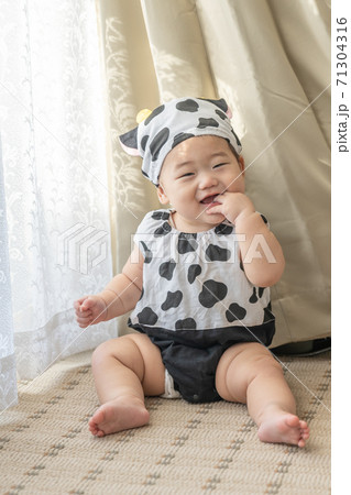 牛のコスプレをして窓辺でお座りをする赤ちゃん 牛のコスプレをして窓辺でお座りをする赤ちゃん 71304316