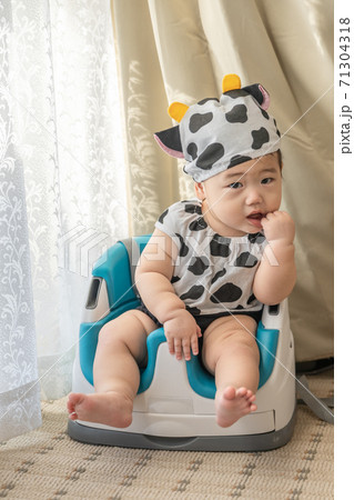 牛のコスプレをして窓辺でベビーチェアに座る赤ちゃん 牛のコスプレをして窓辺でベビーチェアに座る赤ちゃん 71304318