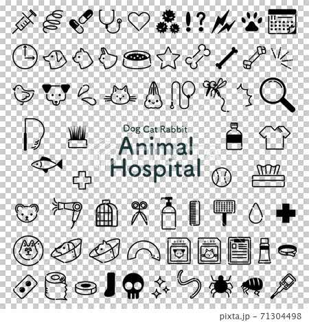 Monochrome veterinary clinic related icon set 71304498
