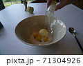 ガストロノミー 71304926