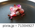 ガストロノミー 71304927