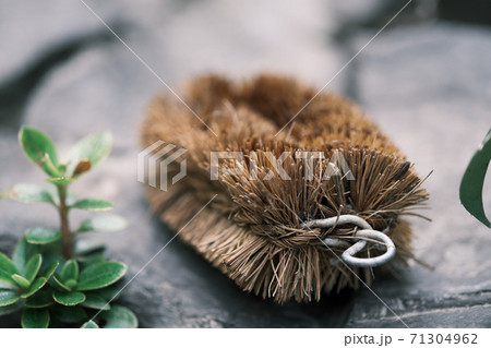 石の上に置かれたタワシ 71304962