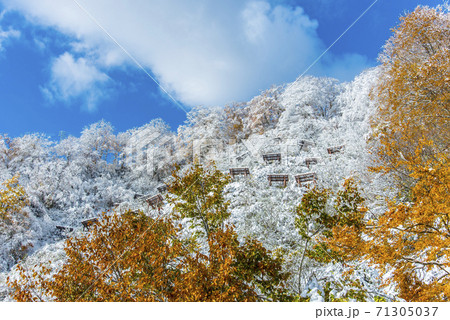 霧氷と紅葉 71305037