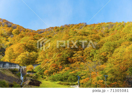 白馬連峰の絶景紅葉 71305081