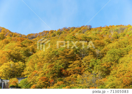 白馬連峰の絶景紅葉 71305083