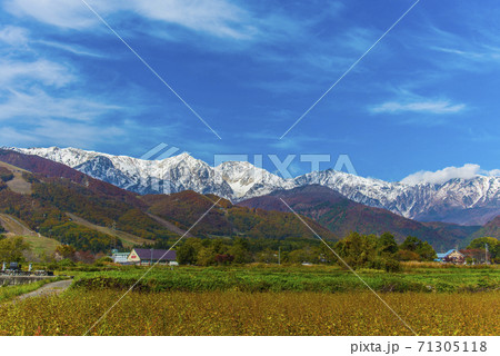 秋の晴れた白馬三山 71305118