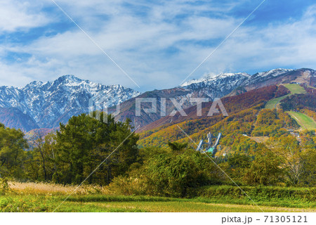 紅葉と五竜岳 71305121