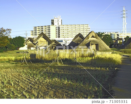 <登呂遺跡>竪穴式住居と高床式倉庫 <登呂遺跡>竪穴式住居と高床式倉庫 71305331