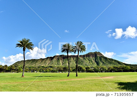 ハワイの休日 ハワイの休日 71305657