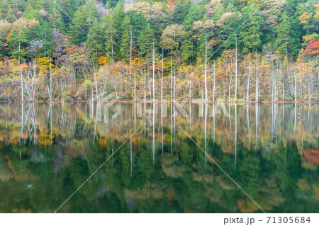 秋の自然湖に映る紅葉 秋の自然湖に映る紅葉 71305684