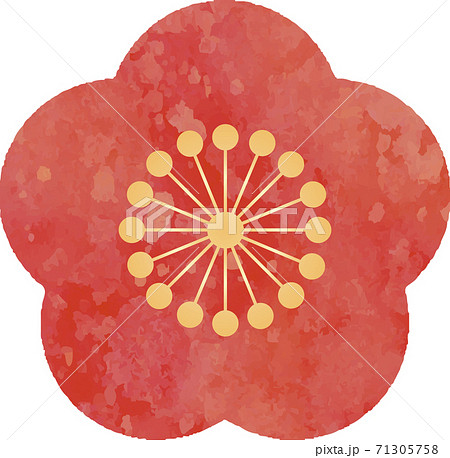 年賀 正月 春 うめ 水彩 イラスト素材のイラスト素材