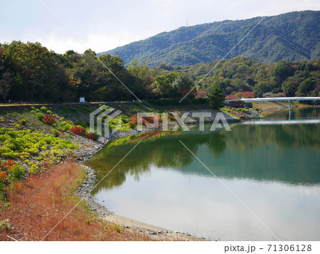 秋のカラフルな公園の池と山 秋のカラフルな公園の池と山 71306128