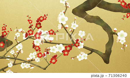 紅白の梅と金箔の和風背景 - 複数のバリエーションがあります 71306240