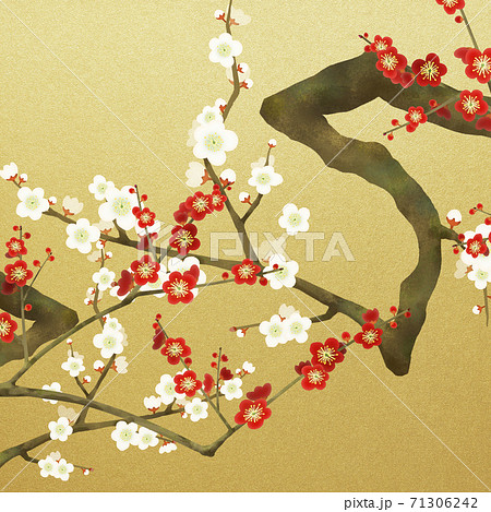 紅白の梅と金箔の和風背景 - 複数のバリエーションがあります 紅白の梅と金箔の和風背景 - 複数のバリエーションがあります 71306242