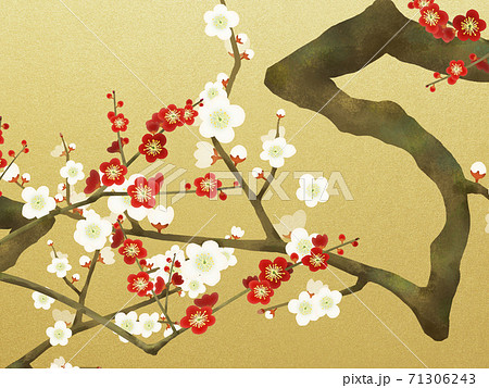 紅白の梅と金箔の和風背景 - 複数のバリエーションがあります 71306243