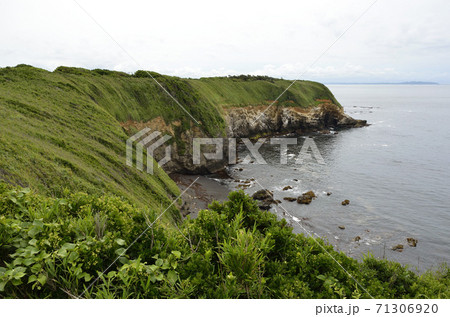 岬　城ヶ島 71306920