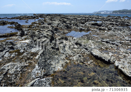 潮が引いた磯 潮が引いた磯 71306935
