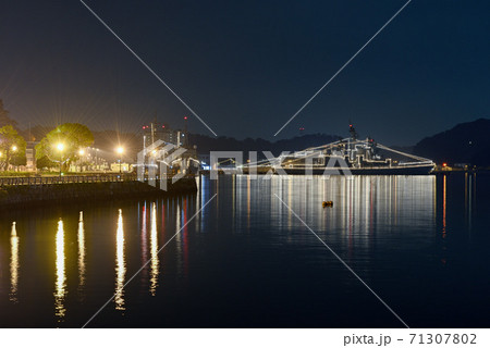 横須賀港の電灯艦飾【海自】ヴェルニー公園から 71307802
