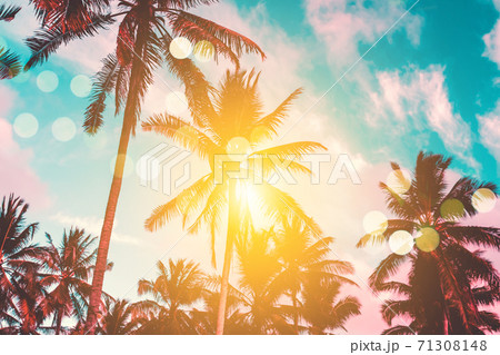 Tropical palm coconut trees on sunset sky flare and bokeh nature. 71308148
