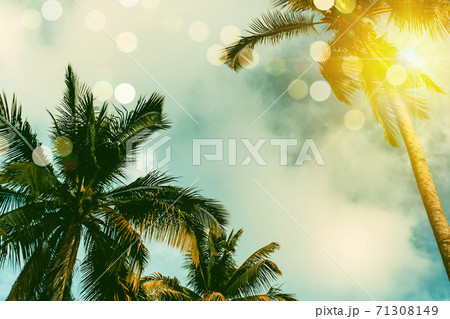 Tropical palm coconut trees on sunset sky flare and bokeh nature. 71308149