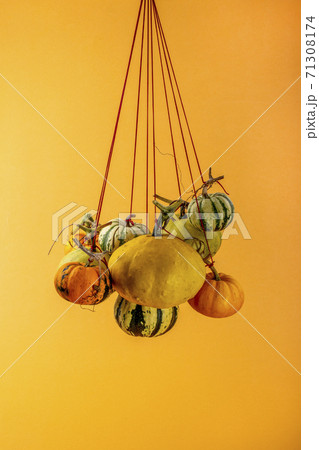 Various decorative pumpkins are hung on a rope 71308174