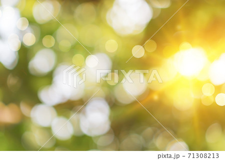Selective green nature leaf with sunlight bokeh background.Vintage color tone style. Selective green nature leaf with sunlight bokeh background.Vintage color tone style. 71308213