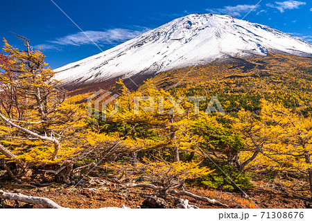 《山梨県》秋の富士山・黄葉の奥庭 71308676
