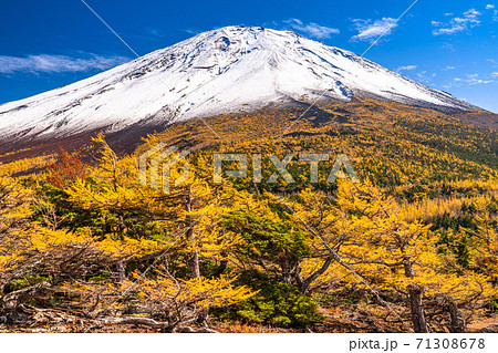 《山梨県》秋の富士山・黄葉の奥庭 71308678