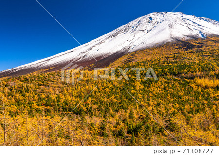 《山梨県》秋の富士山・黄葉の奥庭 71308727