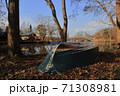 晩秋の大沼 71308981