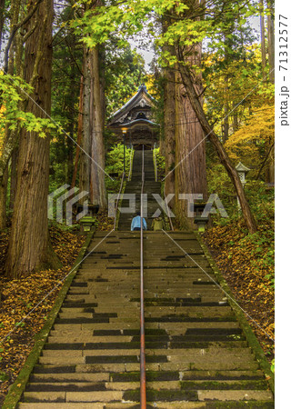 戸隠神社宝光社参道 71312577