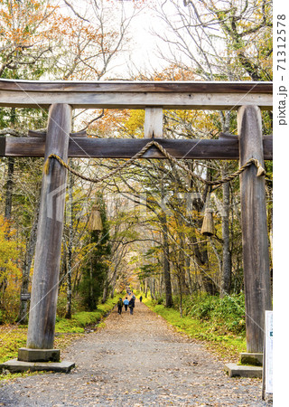 戸隠神社奥社鳥居と参道 71312578